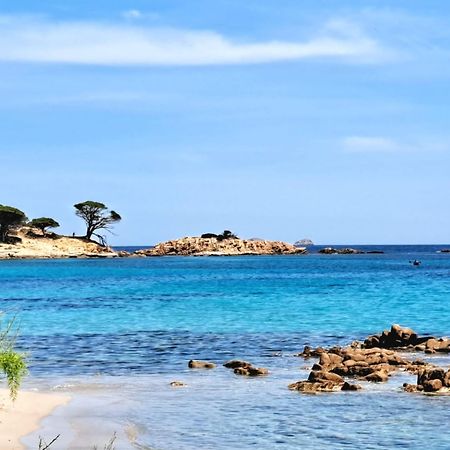 Le Berceau D'Asciaghju Palombaggia - Acces Plage Et Piscine Privee Porto-Vecchio  Buitenkant foto