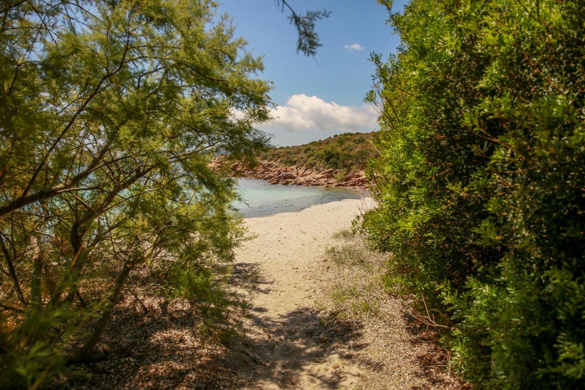 Le Berceau D'Asciaghju Palombaggia - Acces Plage Et Piscine Privee Porto-Vecchio  Buitenkant foto